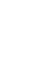 DIGIGUARD Cyber Security