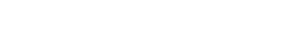 Digiguard